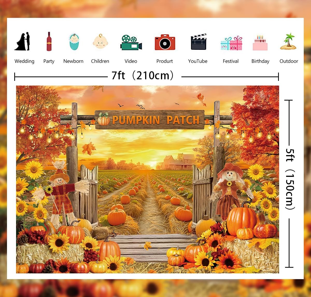 Fall Pumpkin Patch Backdrop Autumn Harvest Pumpkin Field Photography Backgrou…