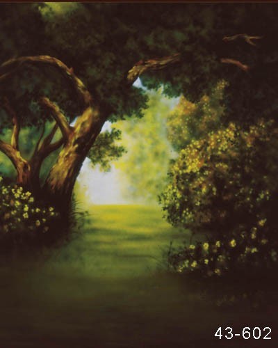 Pro 10’x20′ Muslin 100% Airbrush Painted Photo Backdrop Background 43-602