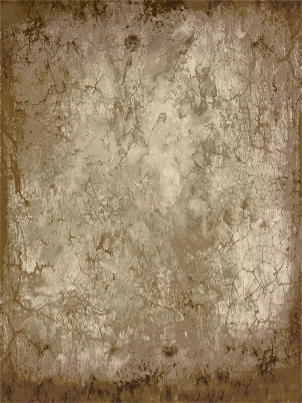 8×10 Deville (6732) Studio Photography Background, Denny Mfg Freedom Cloth