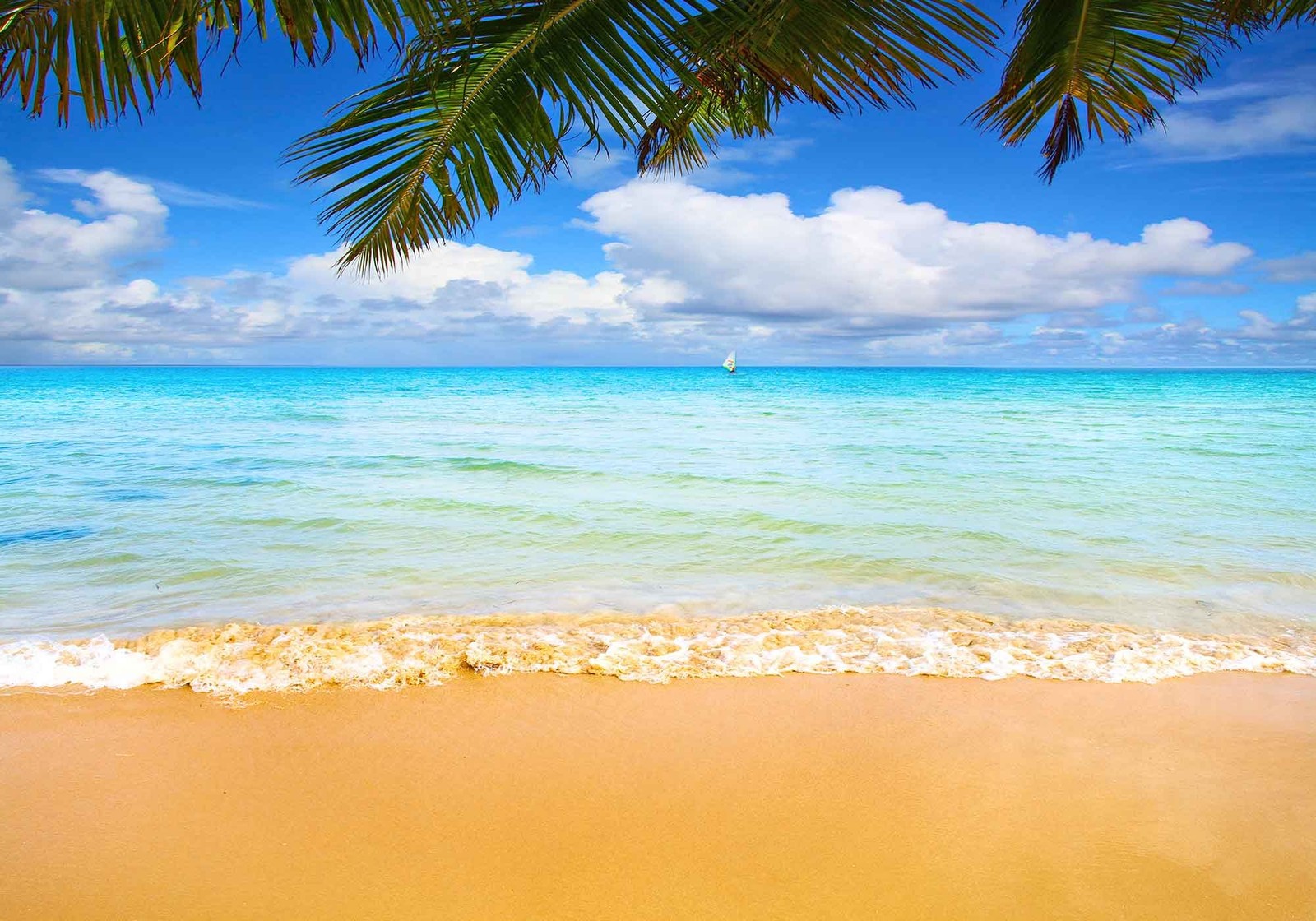 10x7ft MME Summer Sea Beach Photography Backdrop Blue Sky Background Props