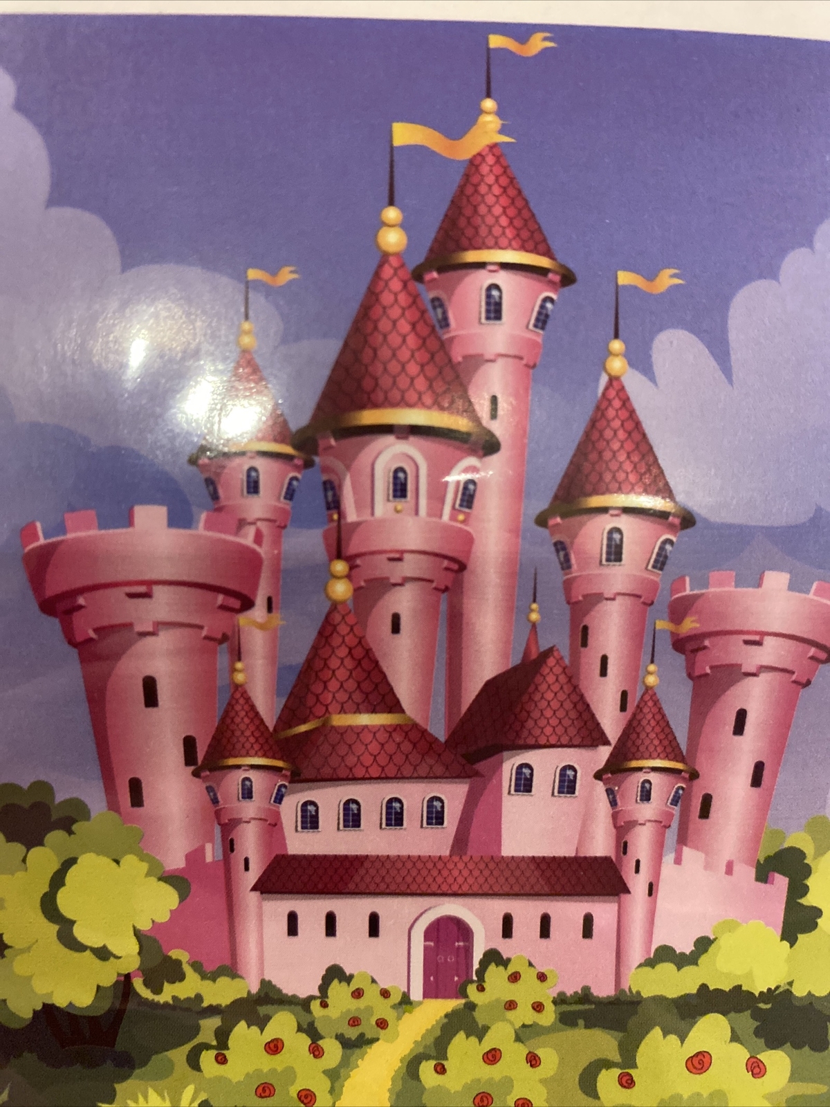 Enchanted Pink Princess Castle Plastic Photo Backdrops, 44×72 *12
