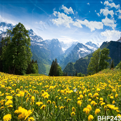 Spring 10’x10′ Computer-painted/Digital Scenic Photo Background Backdrop BHF243
