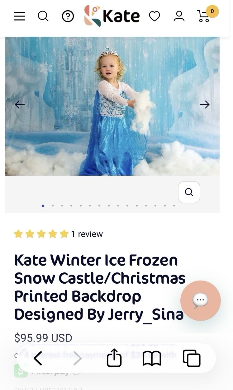 Disney Frozen Winter Christmas Photography Camera Photo Backdrop Background 7X5