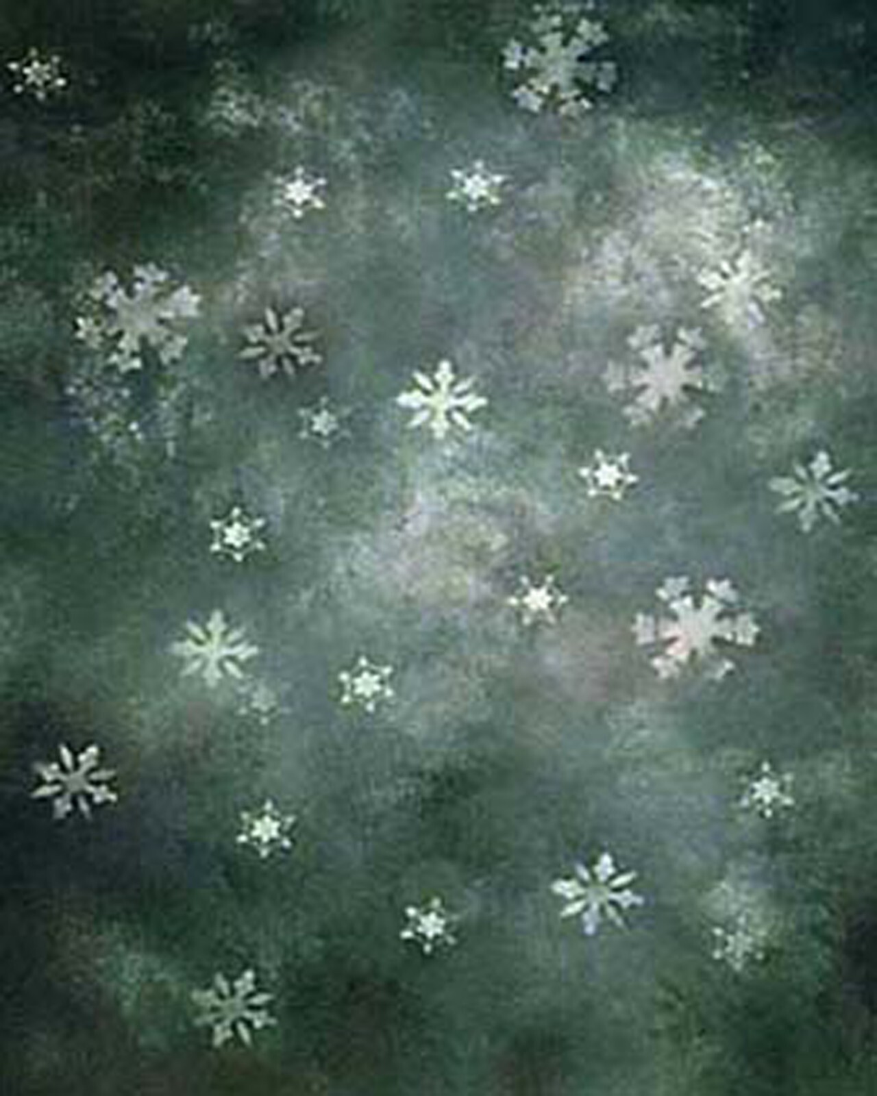 Pro 10’x20′ Muslin 100% Hand Painted Photo Backdrop Background 33-379
