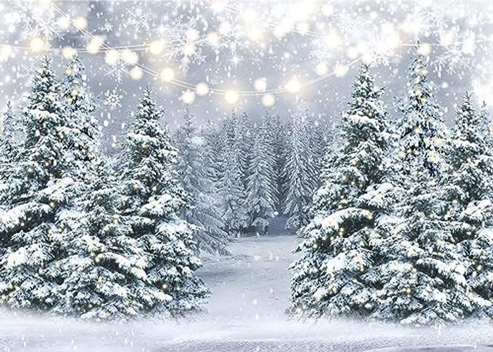 Winter Snow Scenery Backdrop Glitter Winter Forest Photography Backdrop 7X5ft