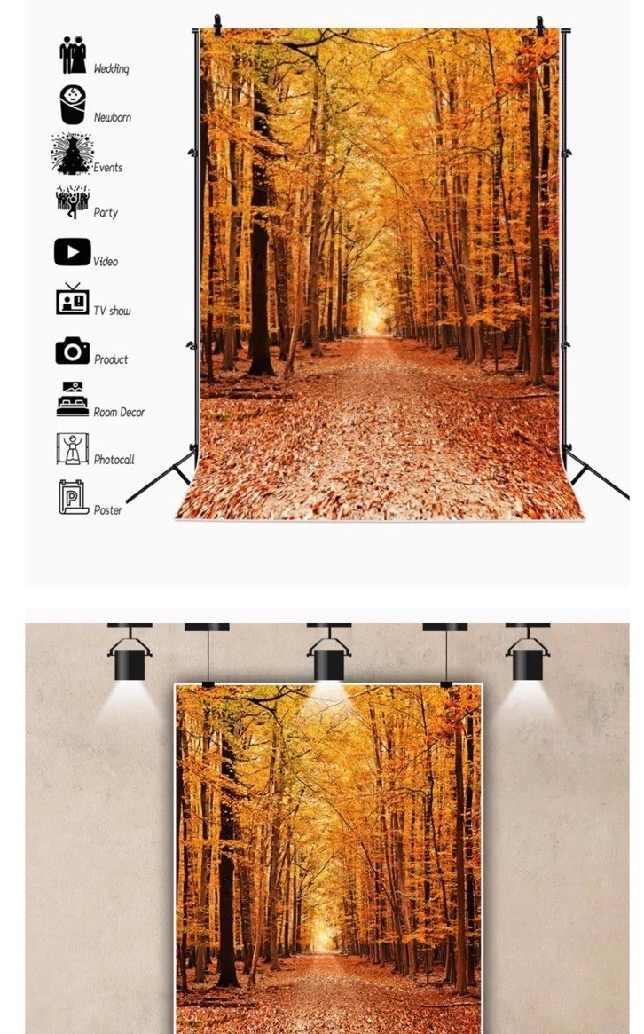 7x5Ft Fall Backdrop Autumn Background Photography Golden Maple Forest Path