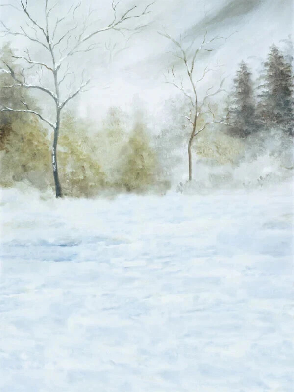 Denny Mfg. Co 8’x10’ Freedom Cloth Winter Scene Photography Backdrop – CPM6480