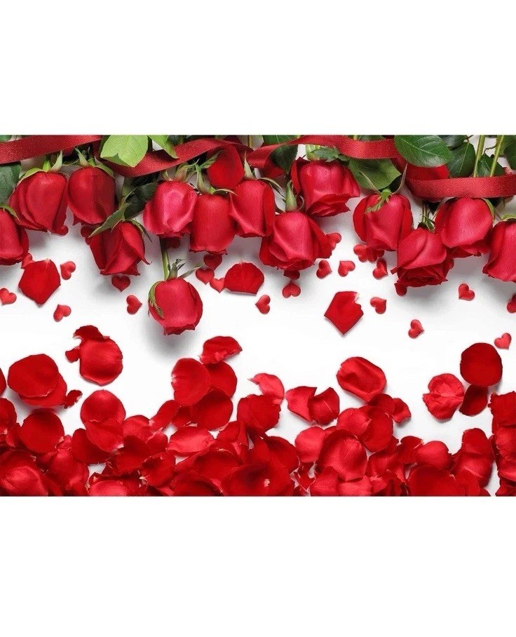 Roses Photo Backdrop 10x7ft Love Red Petals Background Valentines FAST SHIPPING