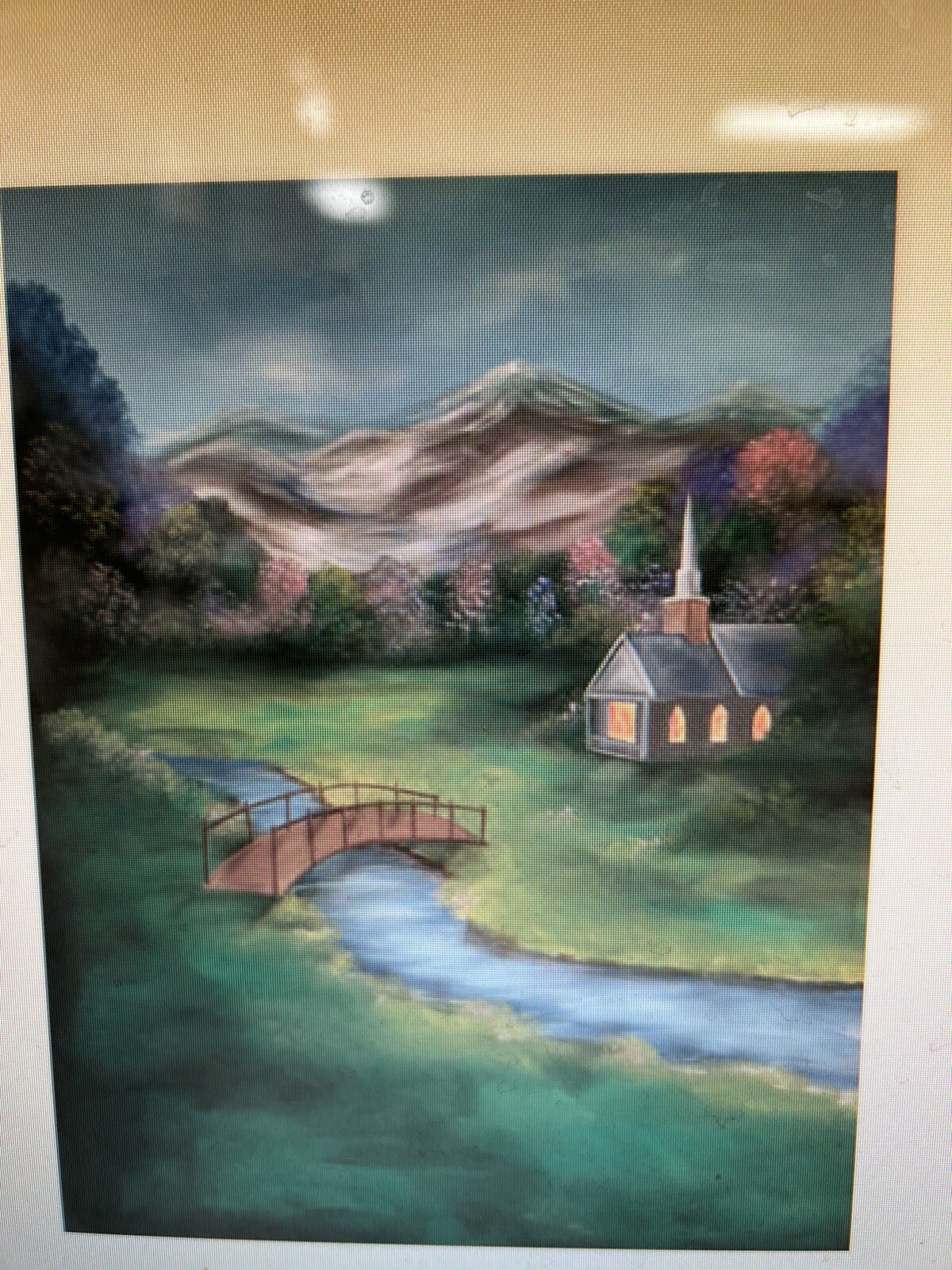 10*20 Ft Muslin 100% Airbrush Painted Photo Backdrop Spring Background 45-437