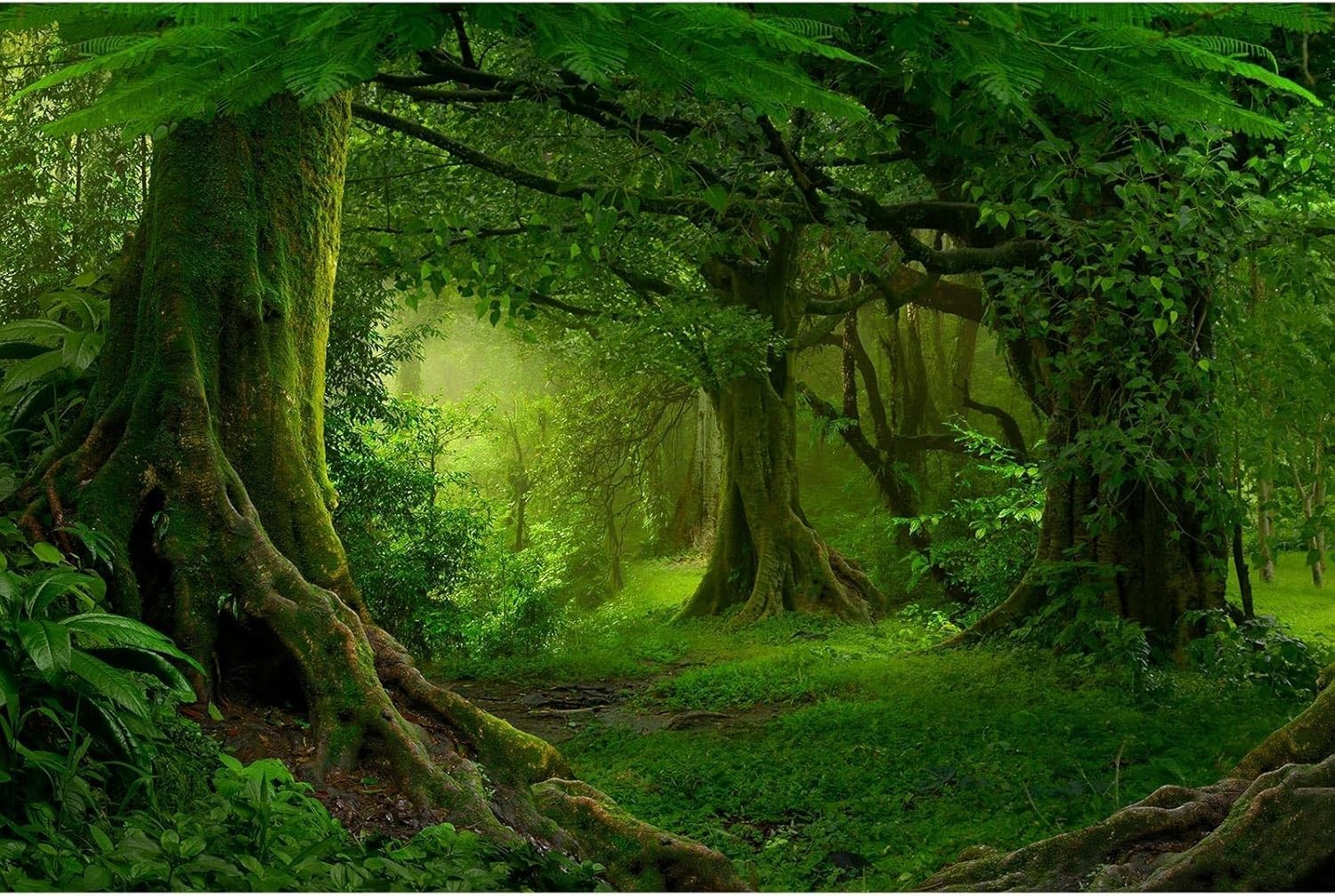 Stunning Jungle Forest Vinyl Backdrop 7x5ft – Ideal for Enchanting Photography