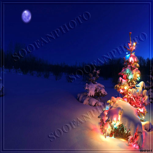 Christmas 10’x10′ Computer-painted Scenic Photo Background Backdrop BHF011