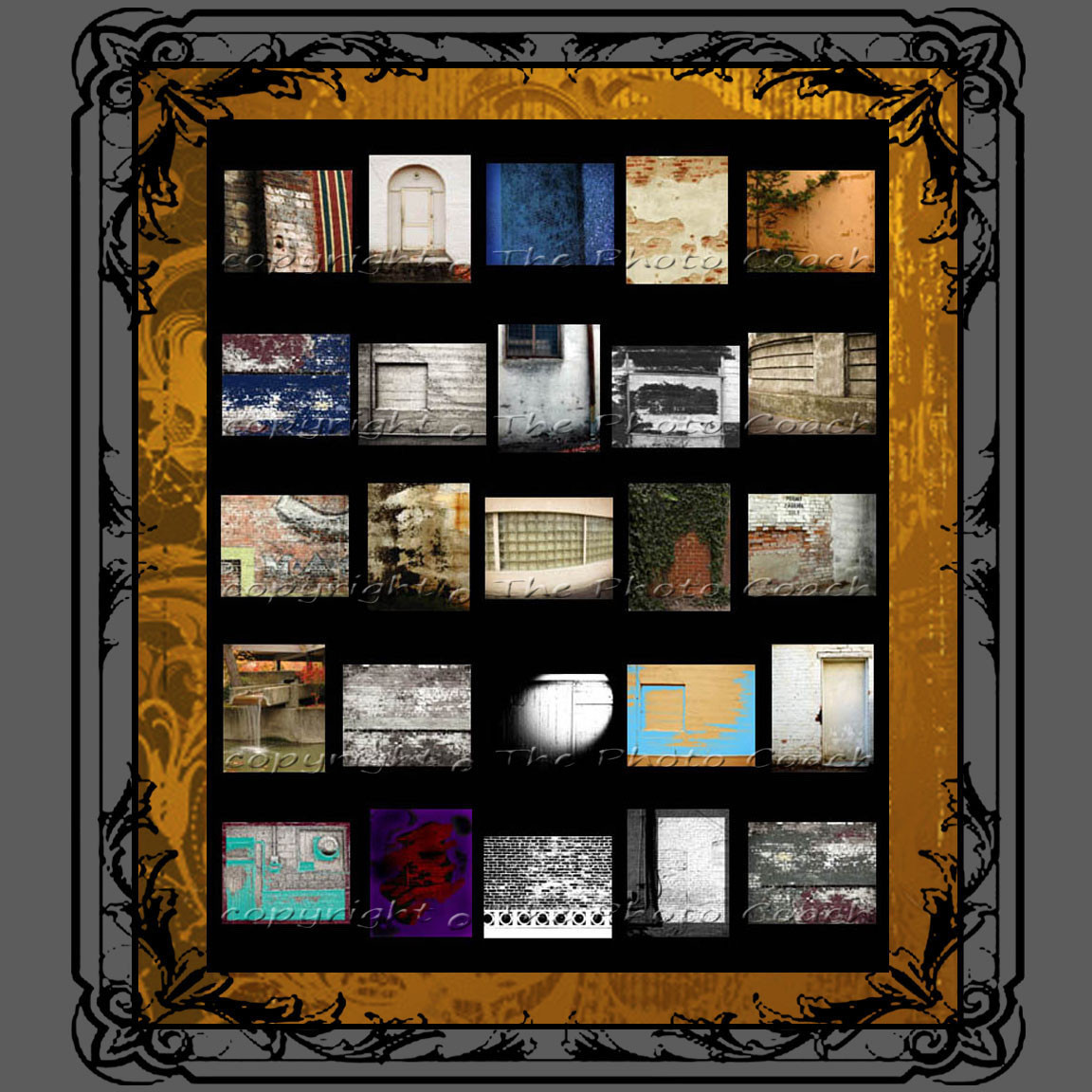 Digital Photography Backdrops Professional Portrait Studio Start Up Collection e
