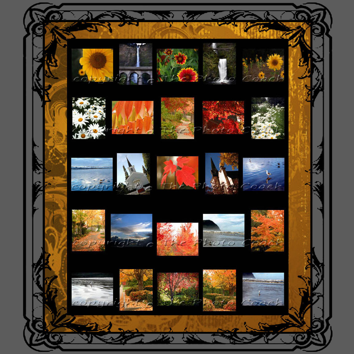 Digital Photography Backdrops Professional Portrait Studio Start Up Collection e