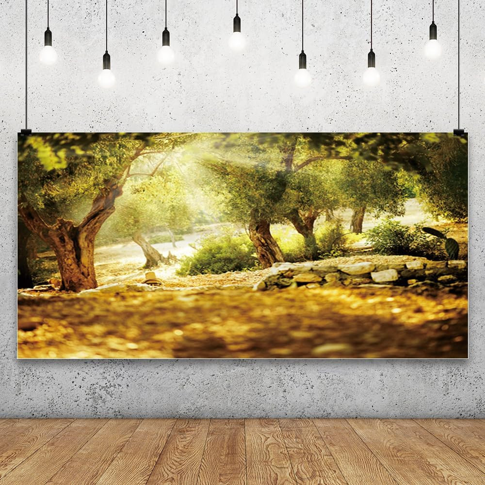 20X10Ft Natural Scenery Backdrop Olive Trees Sunshine Wonderland Dreamy Haze Blu