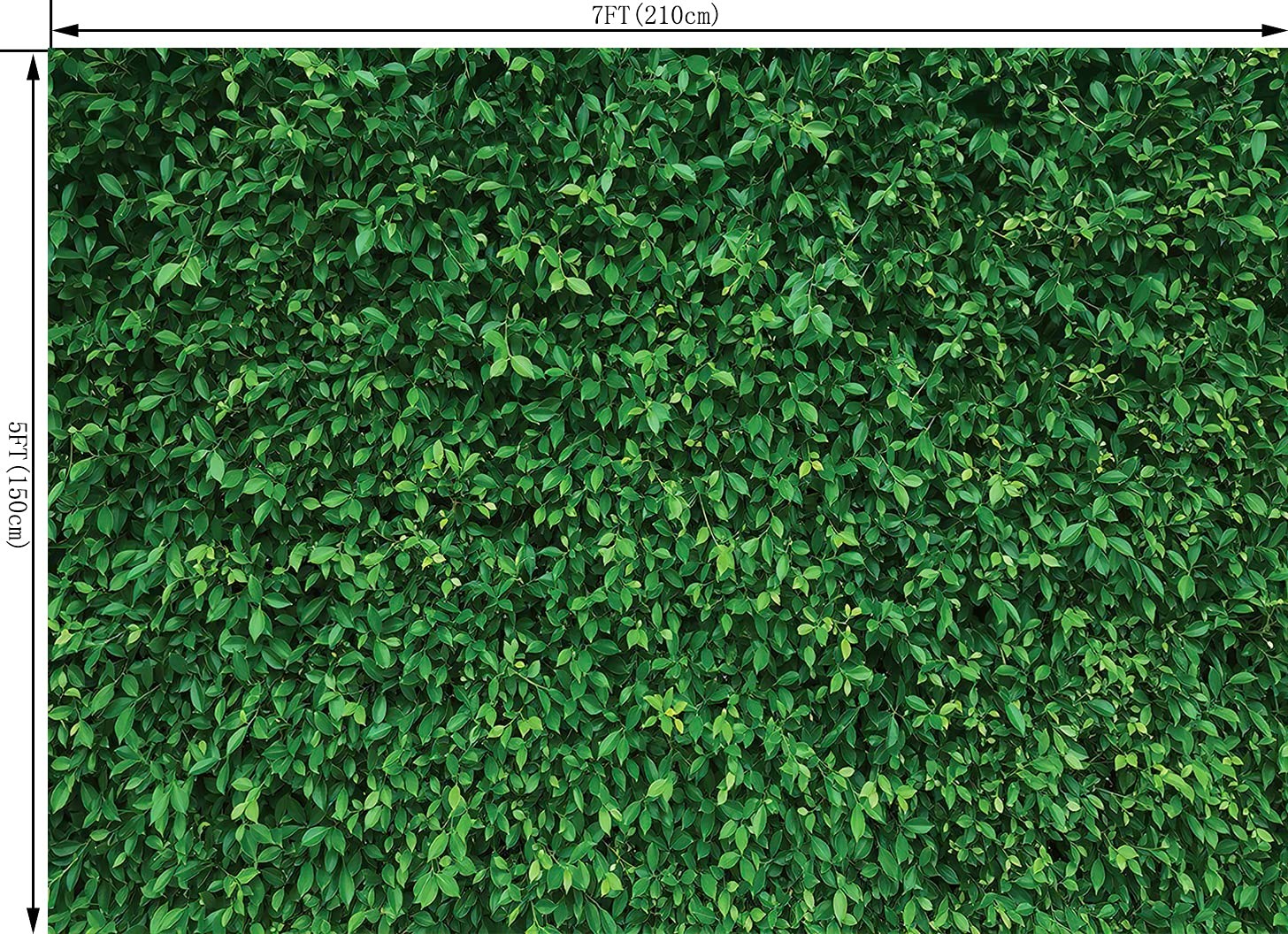 7x5ft Green Leaves Nature Photography Background Computer-Printed Vinyl