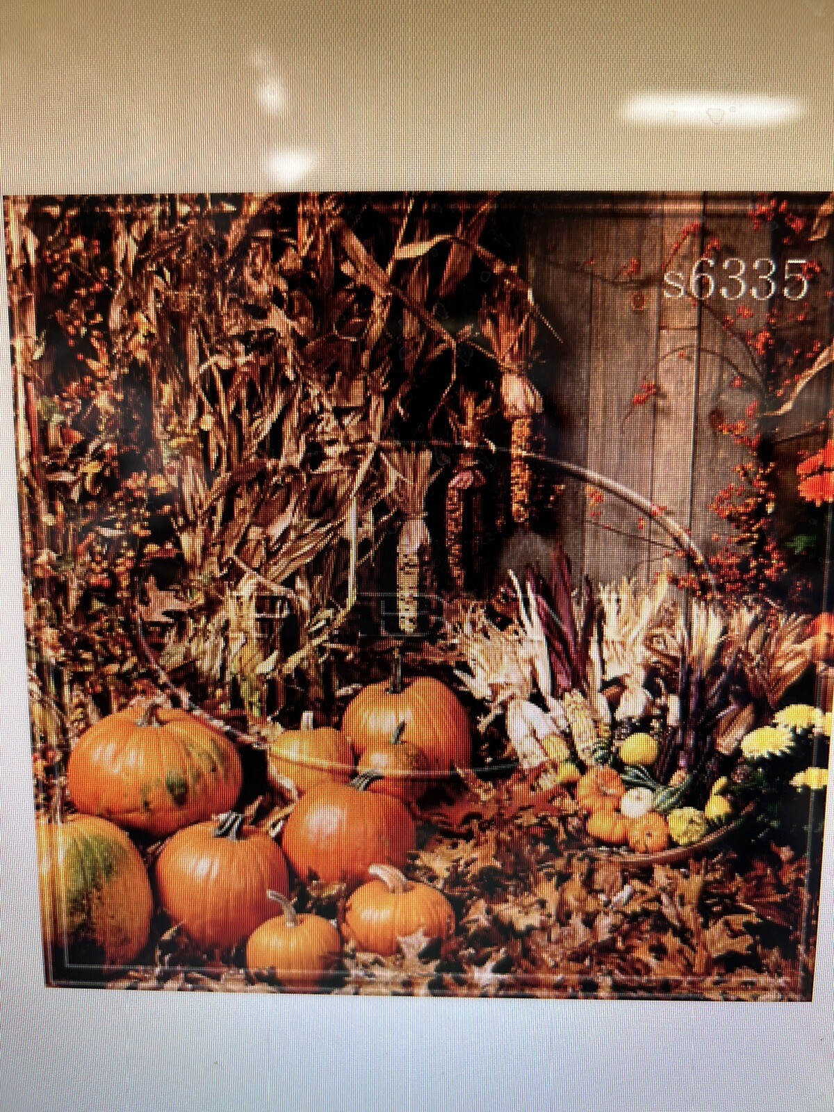 10*20 Ft Muslin 100% Airbrush Painted Halloween Autumn harvest Background 48-258