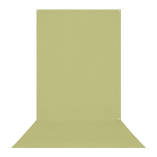 Westcott X Drop Wrinkle Resistant Backdrop 5 x 12 Feet (Light Moss Green)