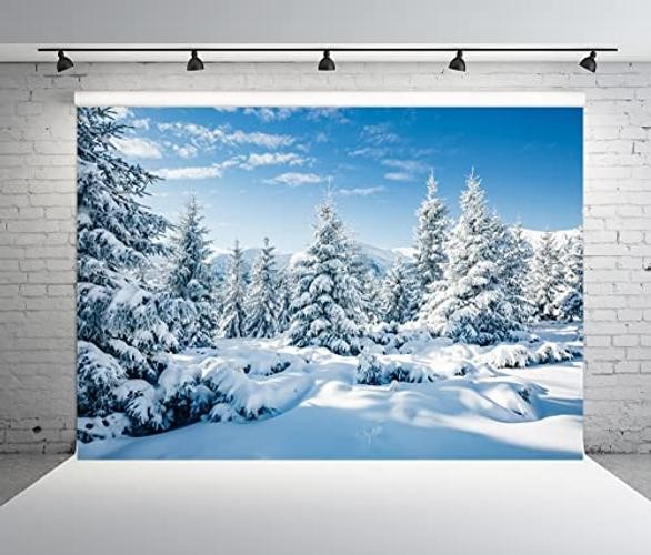 Winter Snow Forest Backdrop 9x6ft Fabric – Frozen White – Winter-002