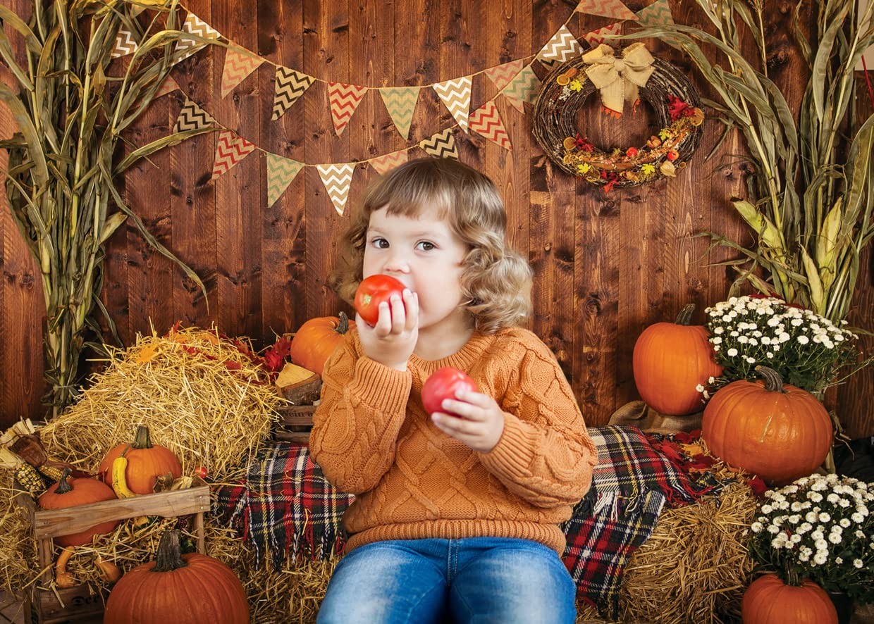 Fall Thanksgiving Backdrops Rustic Wooden Barn Harvest Autumn 7X5FT, Clear