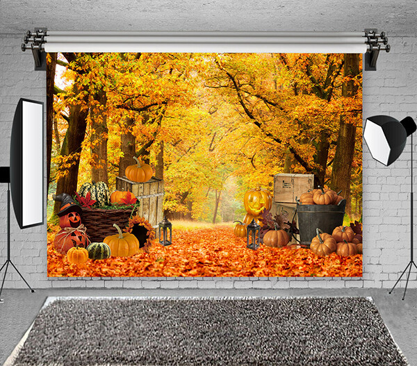 Autumn 5’x7′ Computer/ Digital Scenic Vinyl Photo Background Backdrop BHS011