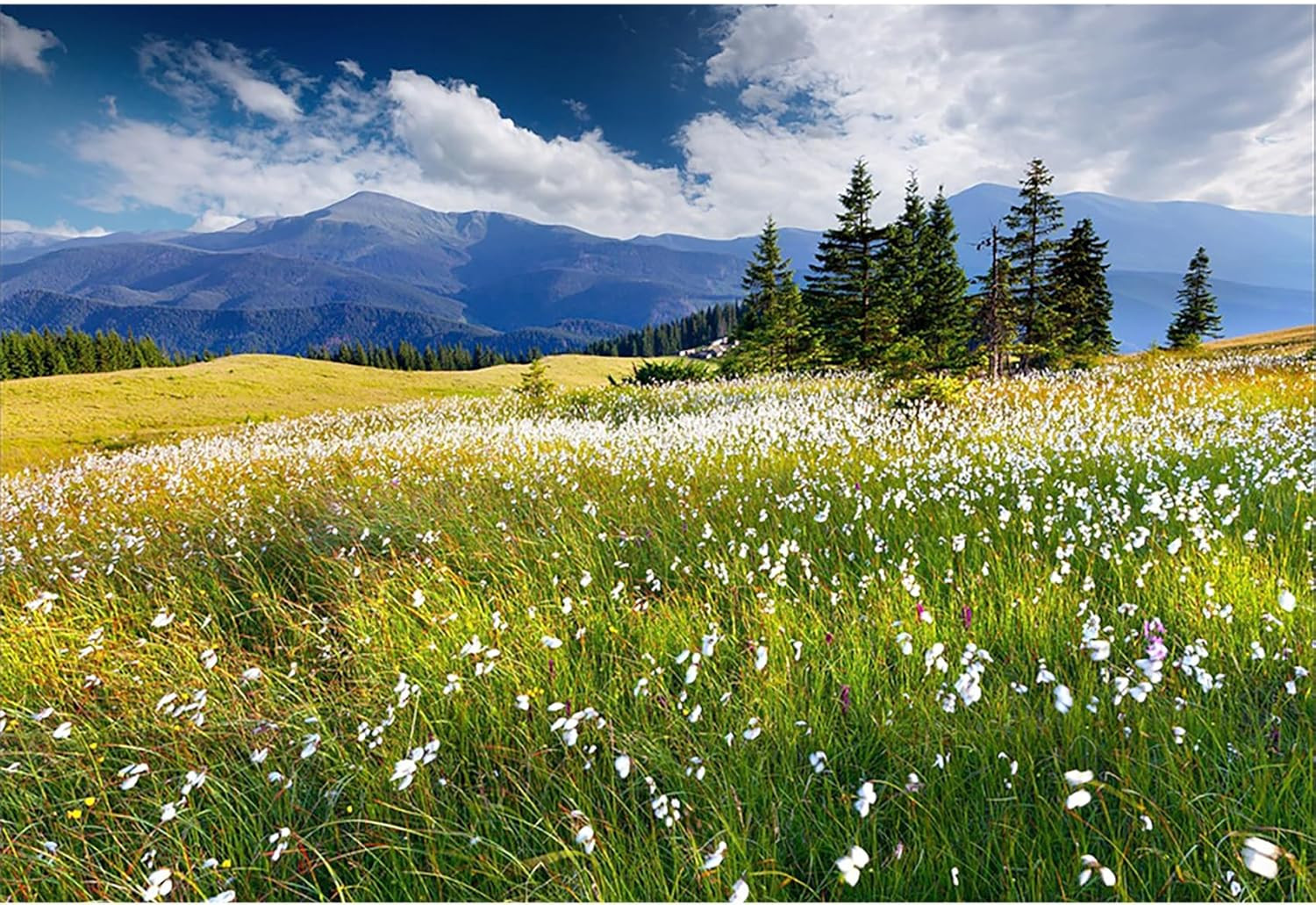 7X5Ft Vinyl Summer Landscape Backdrops for Photography Background Blooming Flowe