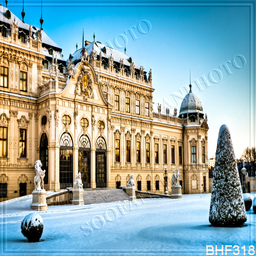Cityscape10’x10’Computer-painted/Digital Scenic Photo Background Backdrop BHF318