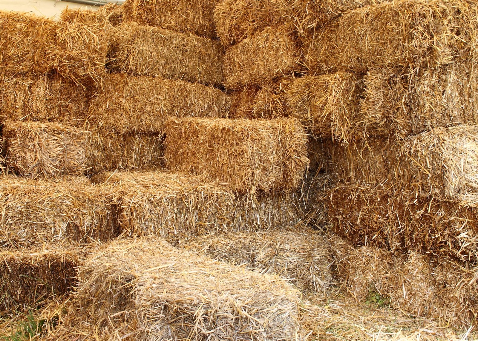 7x5ft Fabric Farm Haystack Photography Backdrop Autumn Fall Harvest Barn Decor