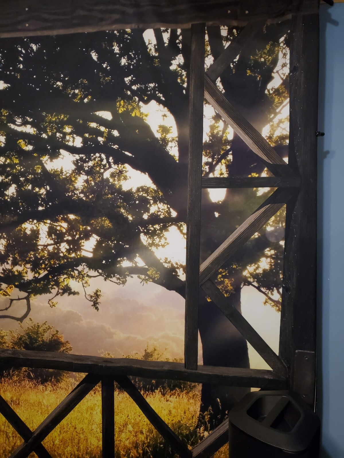 Beth Dutton Photography Backdrop 8 x 8