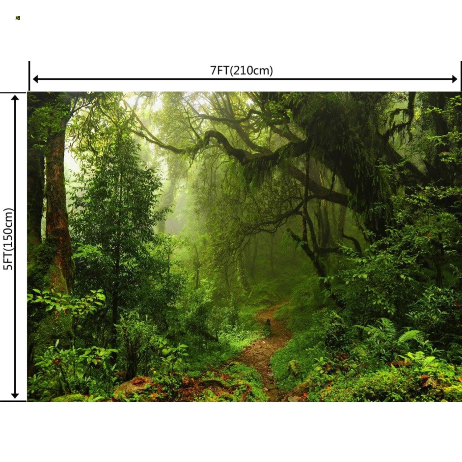 7X5ft Jungle Forest Photography Backdrops Tropical Rainforest Natural Scenery…