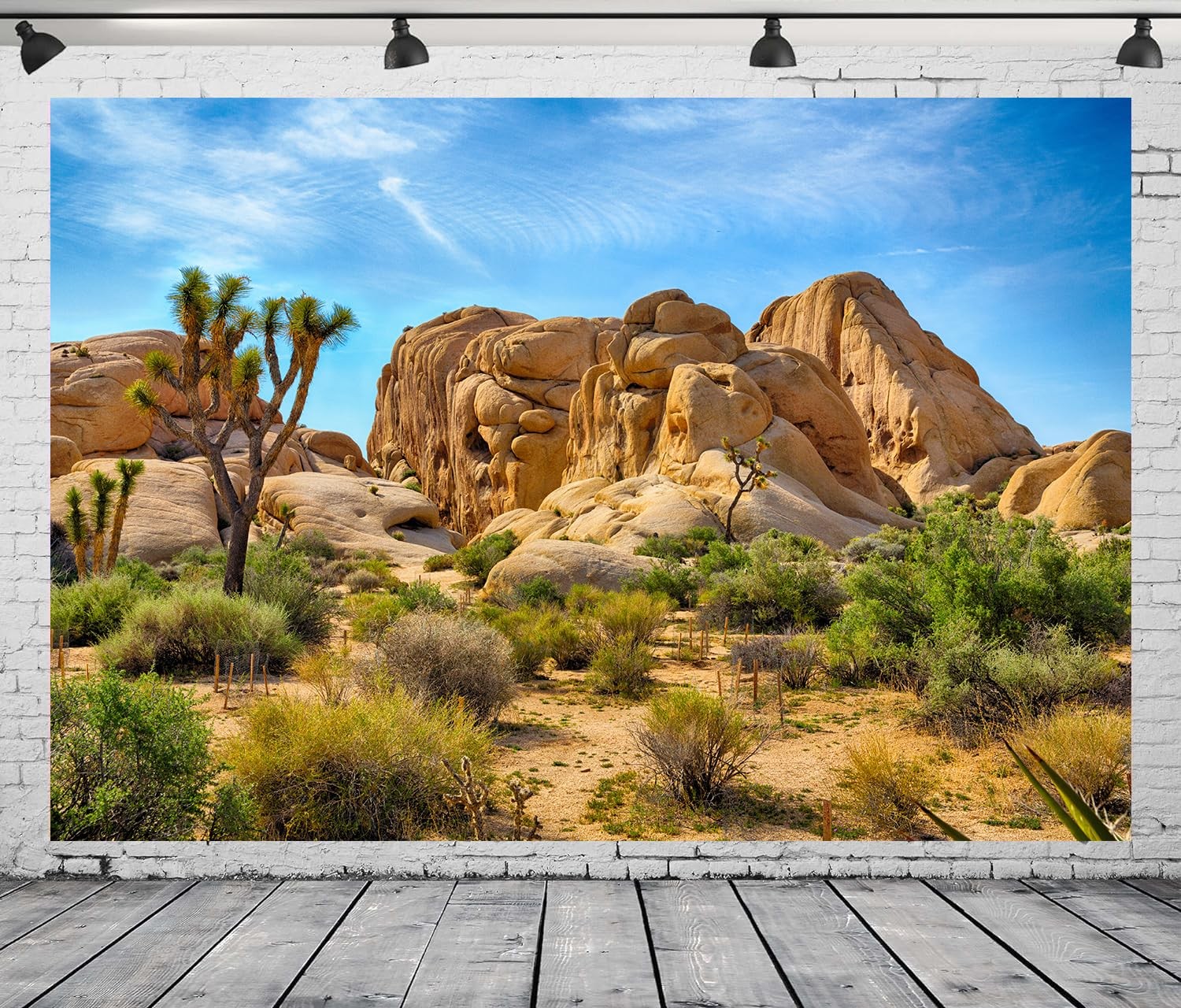 7x5FT Desert Backdrop Odd Trees Rocky Mountains Cactus Natural Beautiful Scenery