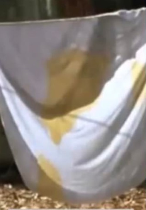 Bobby Boucher Bedsheet, Slightly Used.