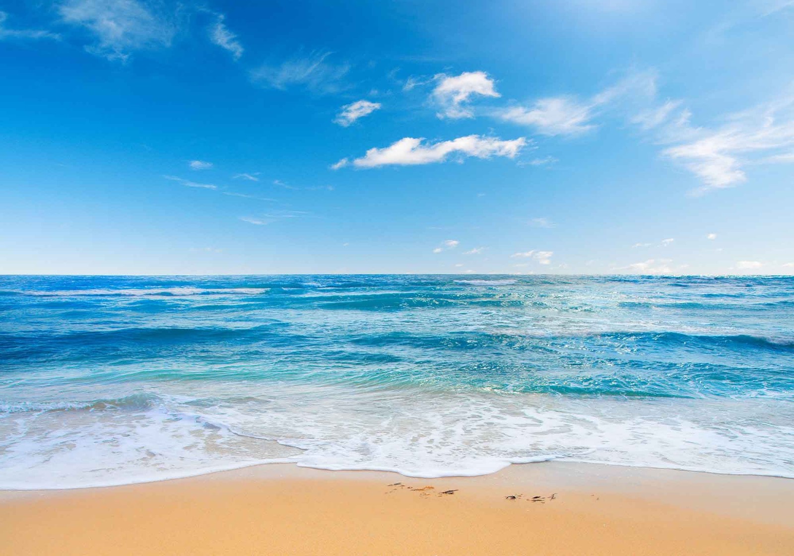 10X7ft Ocean Backdrop, Beach, Seamless Sea, Blue Sky, Summer Photo Background