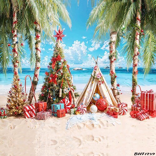 10’x10′ CP Christmas Season Scenic Microfiber Fabric background backdrop BHF1749
