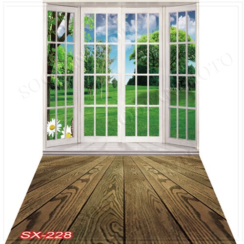10’x20′ CP Indoor Window Scenic Microfiber Fabric background backdrop SX228