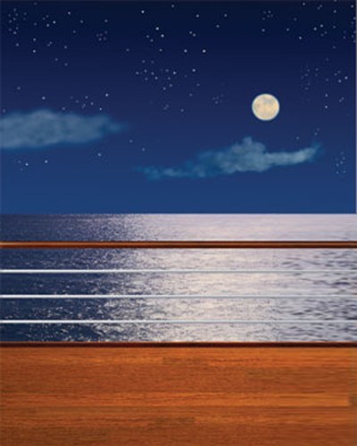 10*20 Ft Muslin 100% Airbrush Painted Photo Ocean Backdrop Background 41-004