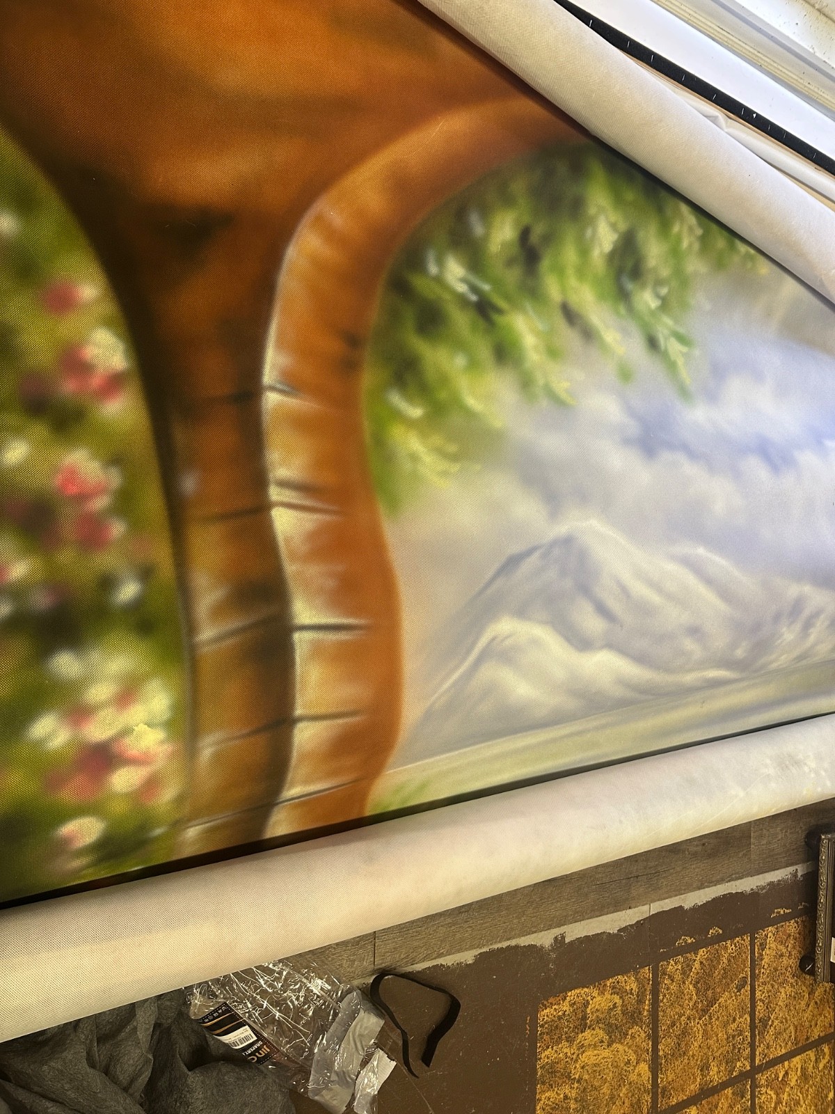 Ten Canvas Photo Studio Backdrops for One Price