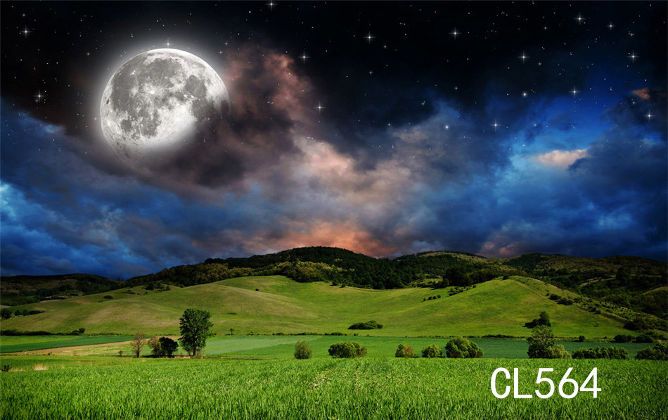 LB 20x10FT Moons Stars Green Grass Scenic Vinyl Studio Backdrop Photo Background