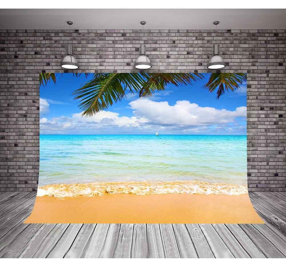 10x7ft MME Summer Sea Beach Photography Backdrop Blue Sky Background Props