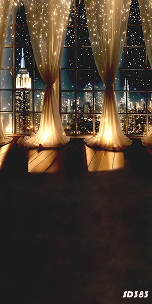 10’x20’Computer-painted Window Curtain Cityview Scenic Backdrop Background SD383