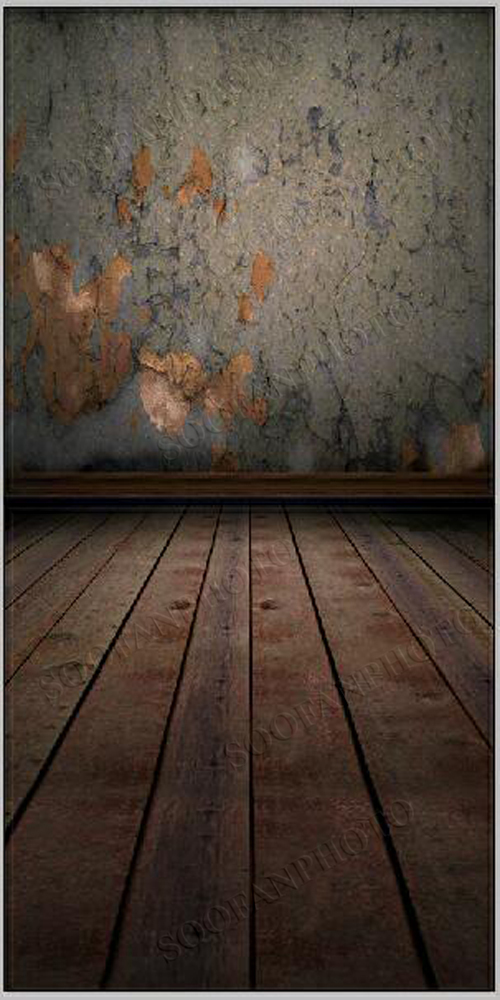 Indoor 10’x20’Computer/Digital Vinyl Scenic Photo Backdrop Background SZ615B88