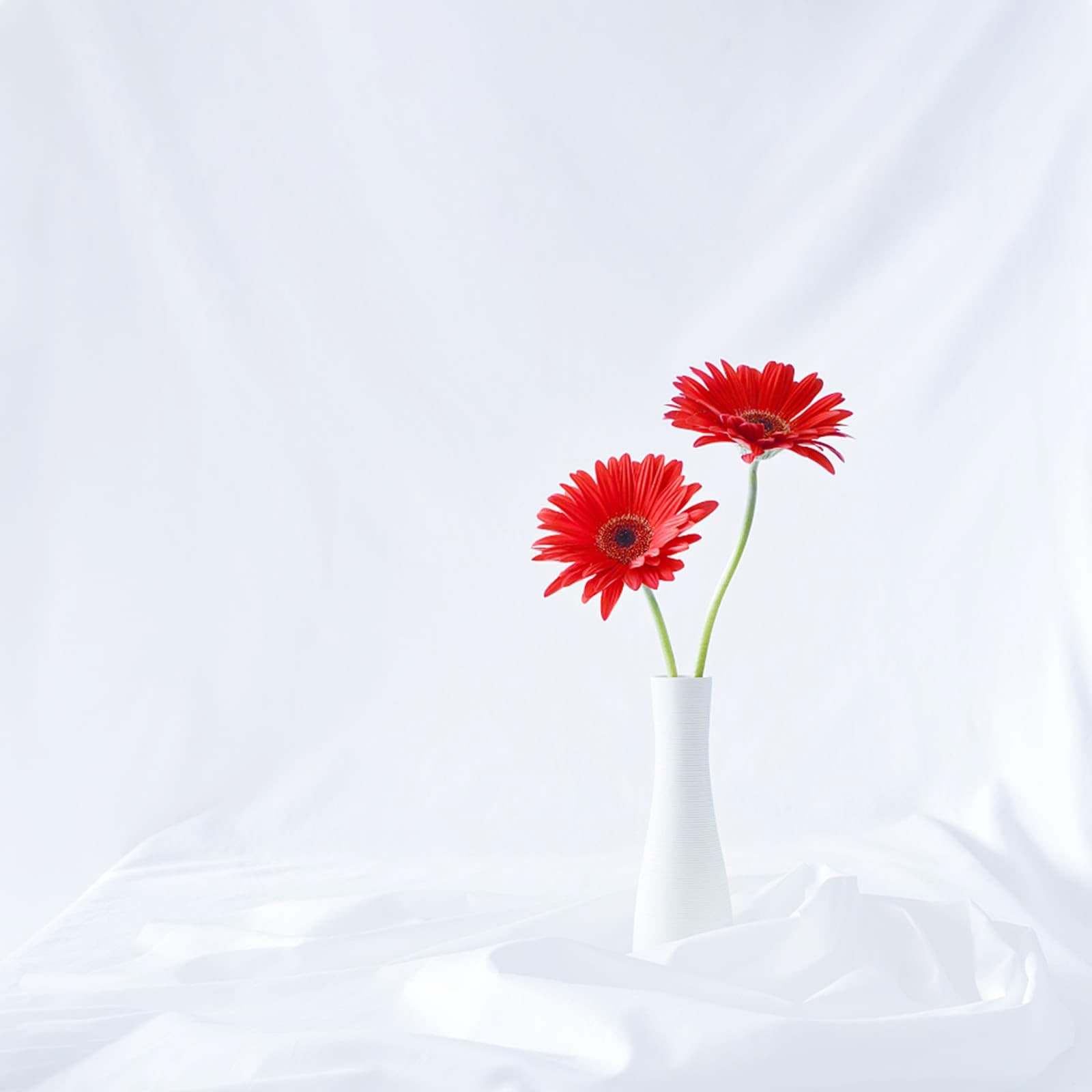 12×10 FT White Backdrop Background for Photography, 100% Polyester Photo Boot…