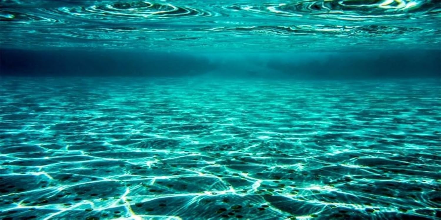 YongFoto Fish Tank Background 48×24 inch Turquoise 48x24inches, Underwater 4