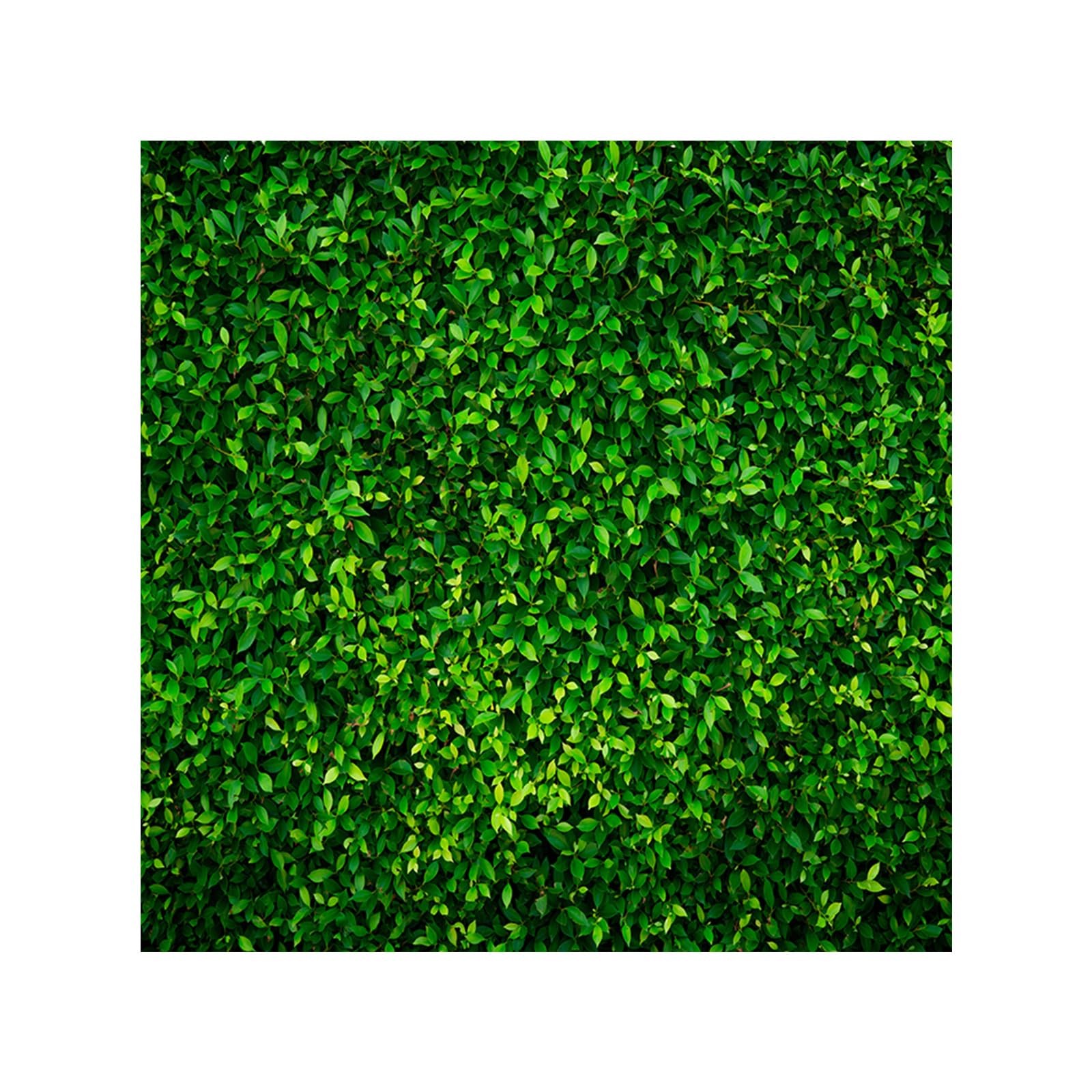 8×8 Ft Green Leaf Wall Panel Backdrop Artificial Foliage Photography Photo