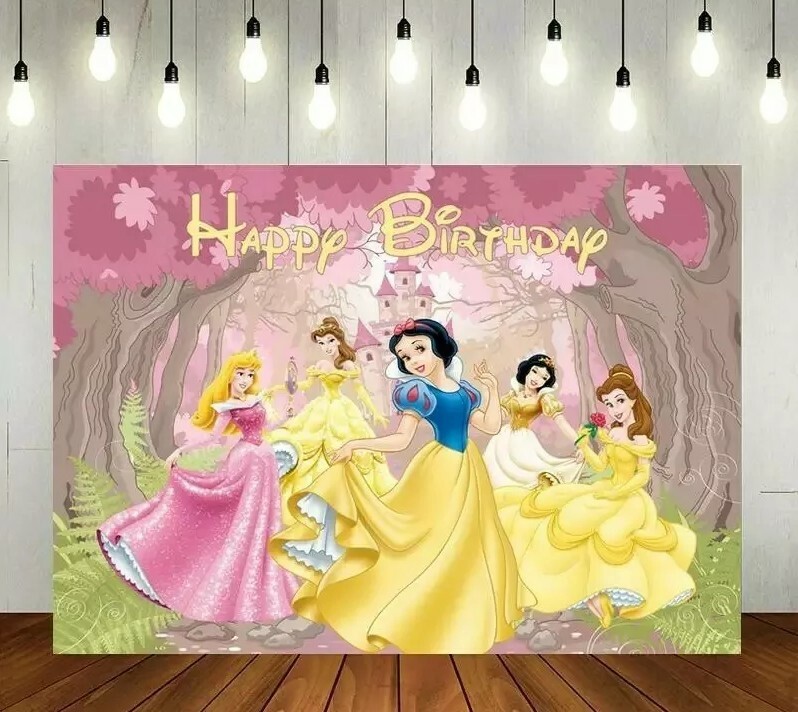 Princess Photo Backdrop Vinyl Birthday Party decoration