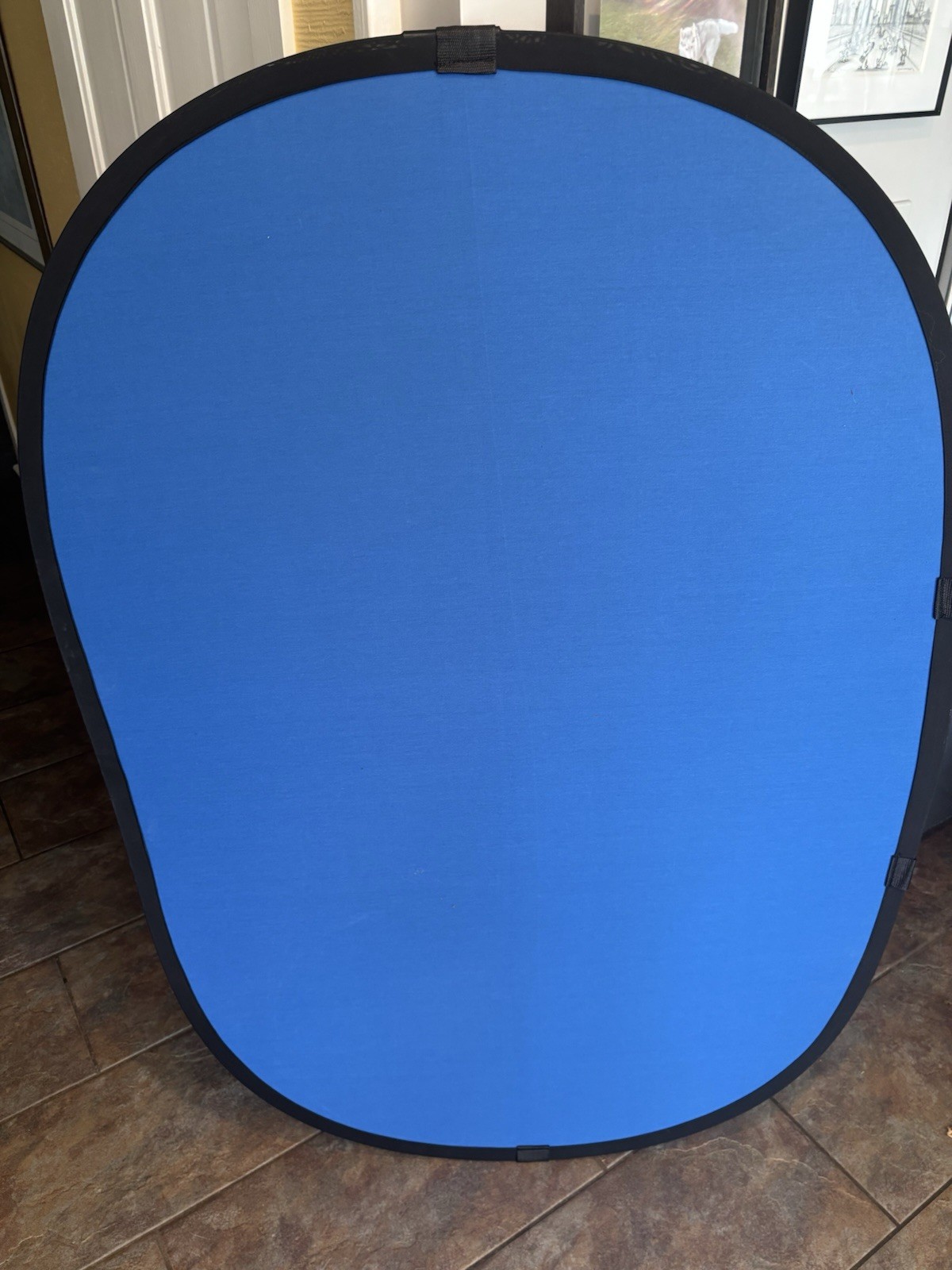 Green Or Blue 2-in-1 Photo /Video Backdrop Kit 5×7 Collapsible Stand / Case