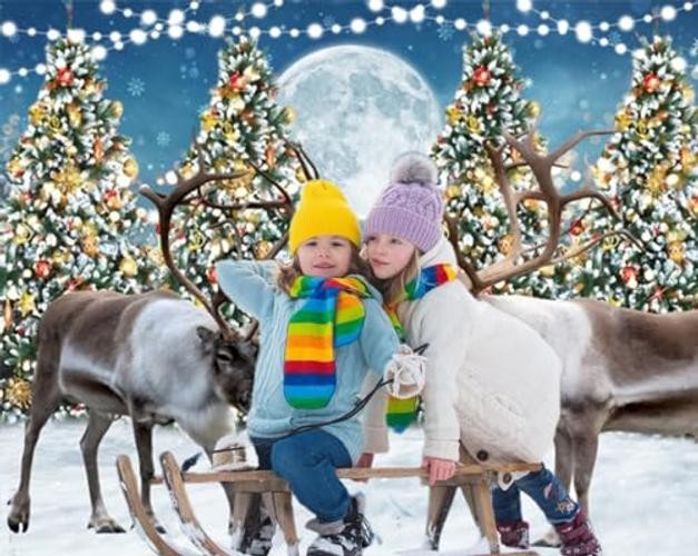 10x8ft Snowflake Backdrop for Winter – Snowflakes & Reindeer Forest