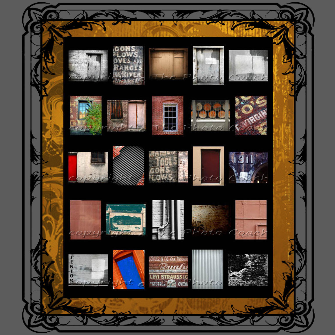 Digital Photography Backdrops Professional Portrait Studio Start Up Collection e