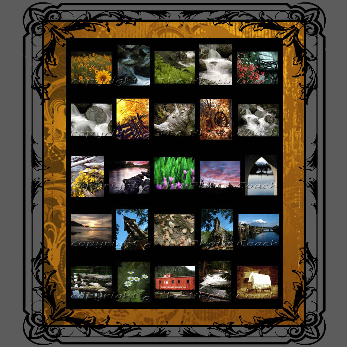 Digital Photography Backdrops Professional Portrait Studio Start Up Collection e