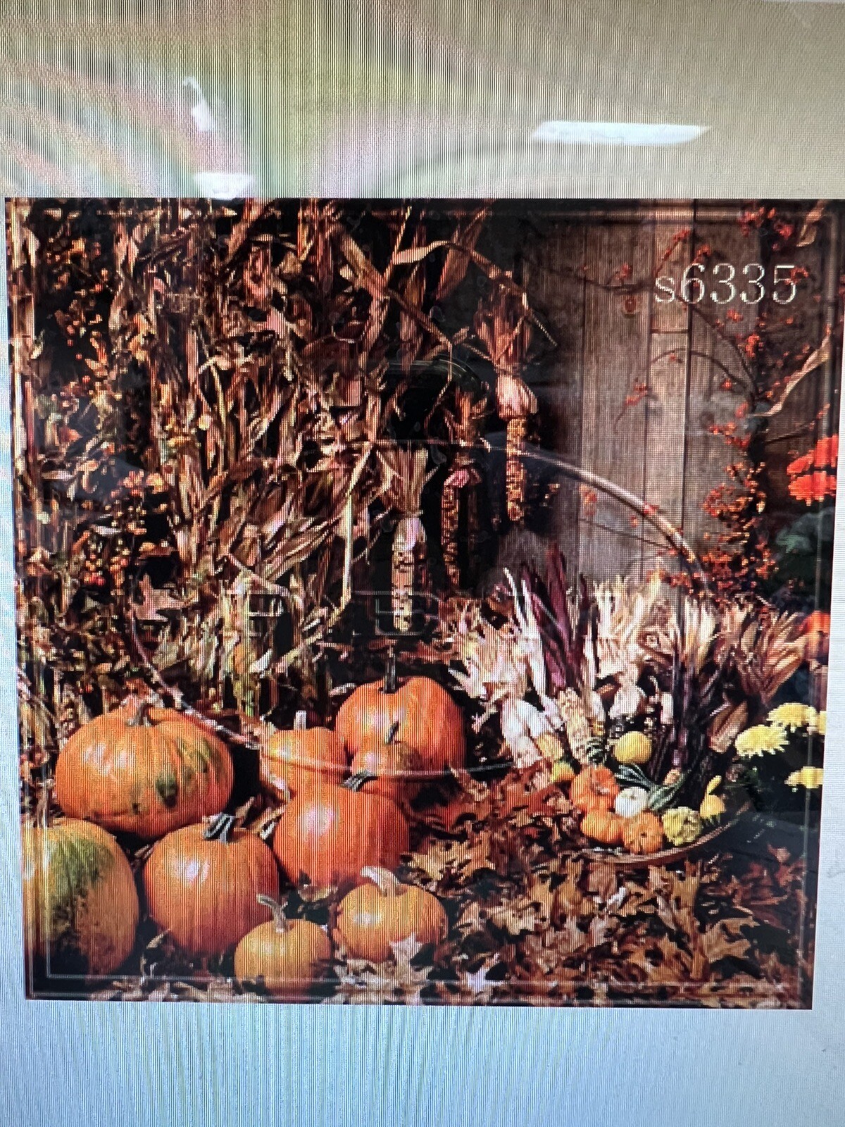 10*20 Ft Muslin 100% Airbrush Painted Halloween Autumn harvest Background 48-258