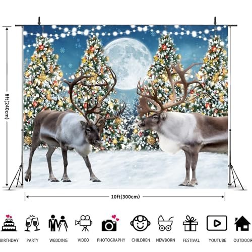10x8ft Snowflake Backdrop for Winter – Snowflakes & Reindeer Forest